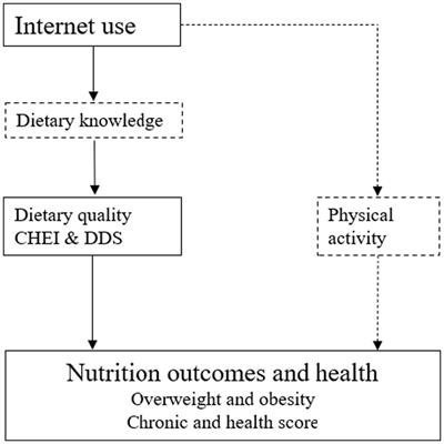 The effect of Internet use on nutritional intake and health outcomes: new evidence from rural China